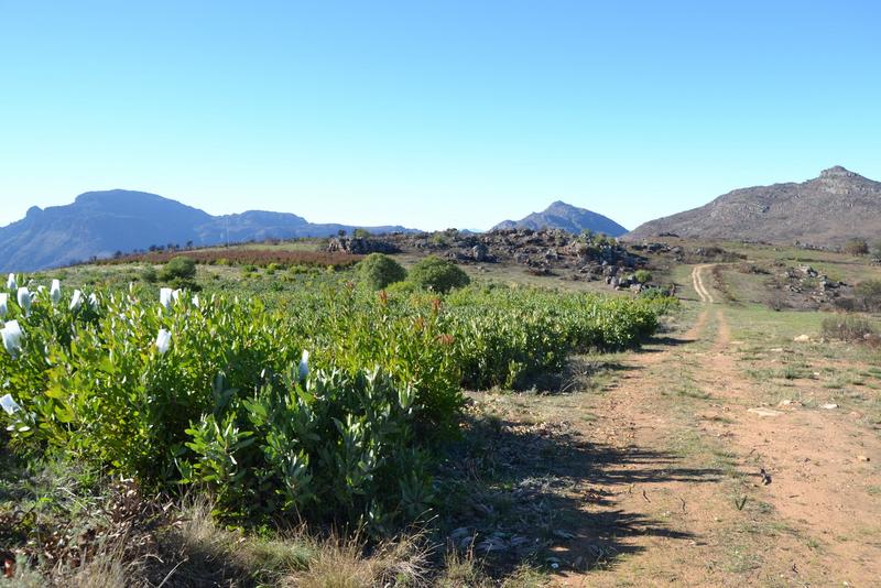 5 Bedroom Property for Sale in Piketberg Rural Western Cape